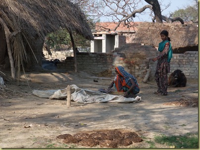 Village House