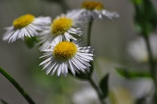 DSC_1586.JPG