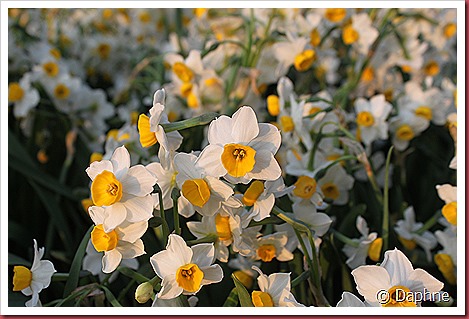 IMG_2291 IMG_2291
