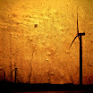 windmills5sha.jpg