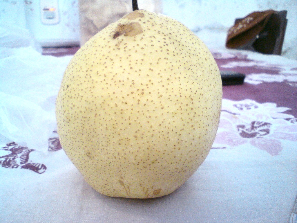 [pear-35.jpg]