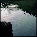 img106.jpg