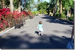 IMG_6507 IMG_6507