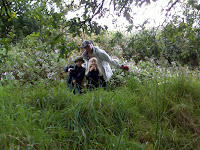 DSC00325.JPG Photo