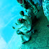 DSCN4042.JPG