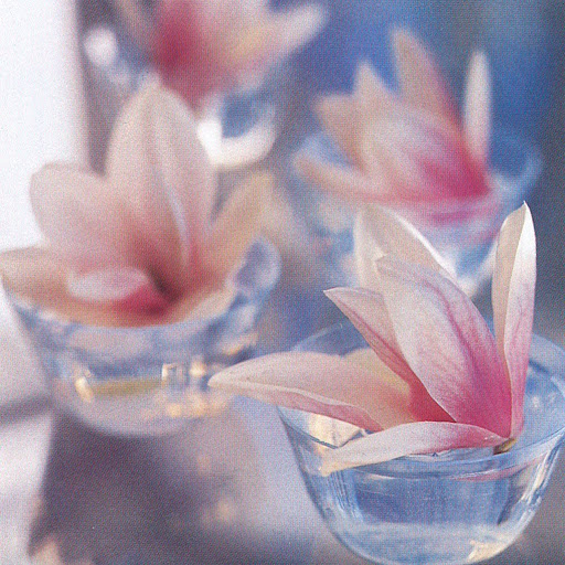 magnolia wedding centerpiece