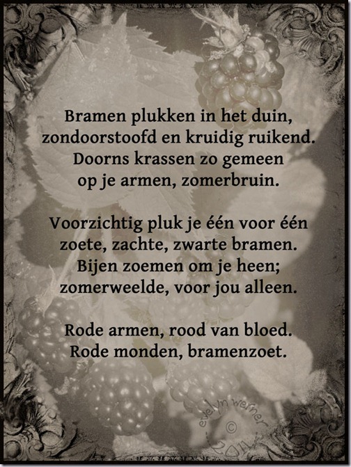 bramen-plukken bramen-plukken