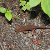 IMG_1397.JPG