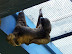 National Zoo in August