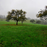 Arrivée de l'Hiver