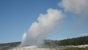 IMG_4132.jpg