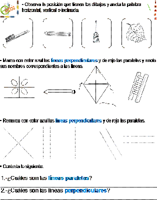 Tareas líneas verticales, horizontales, paralelas y perpendiculares