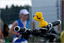 Roth_2010_384.jpg