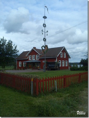 5 5