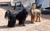 Blog - 2012 - feb day 2-20