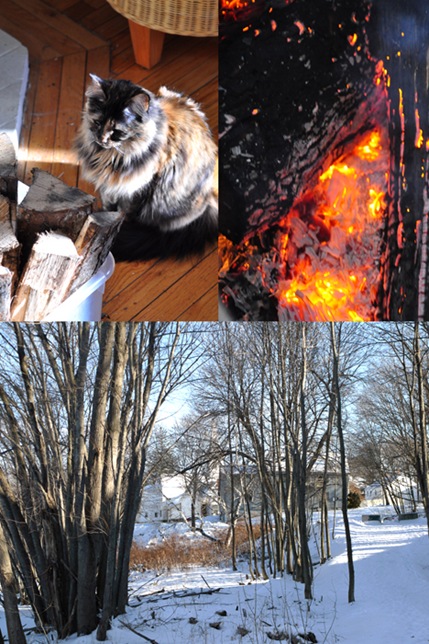 winter_collLR