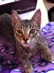 FLOYD  adoptado ¡¡¡¡¡¡!!!!!!