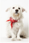 Strike a Pose.... Save a Life...
