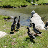 25.06.10 Nordic Walking Kasern Kehreralm - Casere malga Kehrer