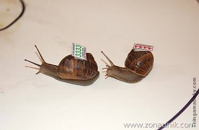 [Balap%2520Siput%255B3%255D.jpg]