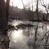 dsc06213.jpg