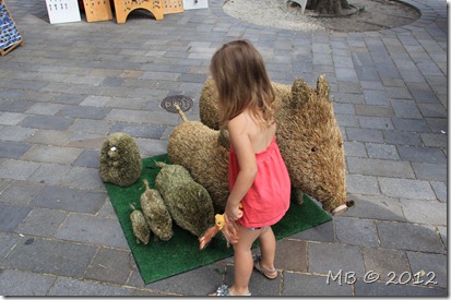 IMG_0240 IMG_0240