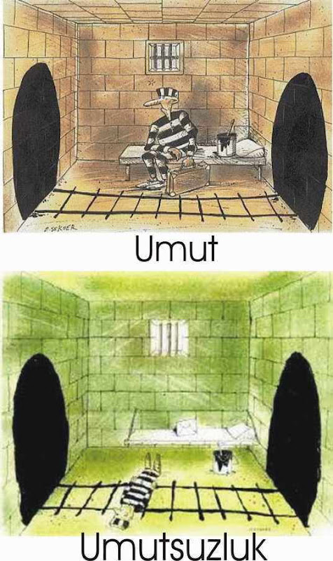 Self-explanatory Shots