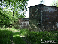 dsc06719.jpg
