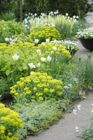 claus20090519_083525