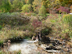 DSCN0450.JPG