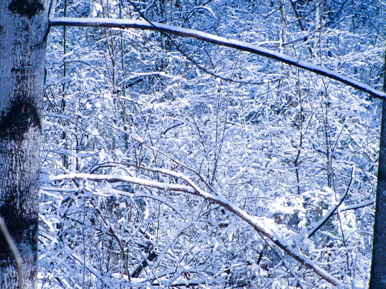 [Snow%2520005%255B5%255D.jpg]