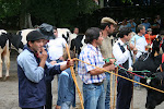 Guimarães, Portugal 052.JPG