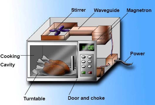 [microwave-oven-danger-illustration%255B4%255D.jpg]