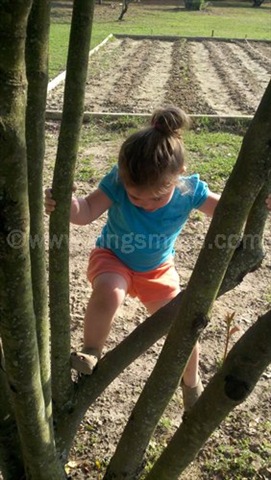 [2012-03-17_17-15-41_78%255B3%255D.jpg]