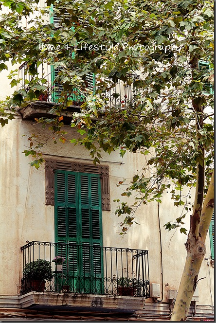 Home & Lifestyle IMG_1470a-1