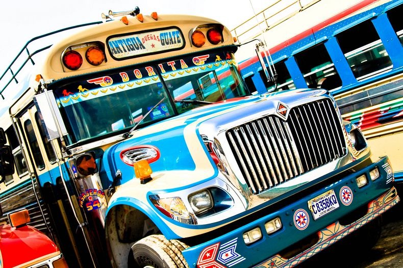 chicken-buses-4 chicken-buses-4