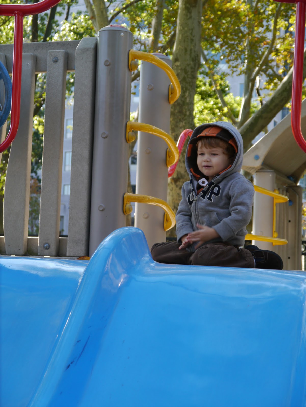 [P10201283.jpg]
