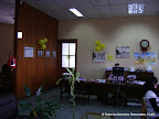 Dsc01741