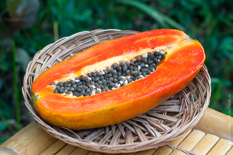 Папайя (Papaya) Папайя (Papaya)