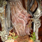 1440-5.JPG