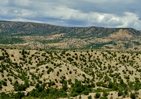 High Road Dry Country