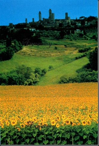 img0691 img0691