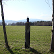 DSC00321.JPG