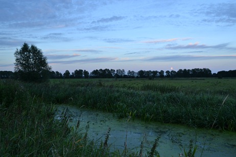 Carleton Beck 006