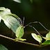P1080854
