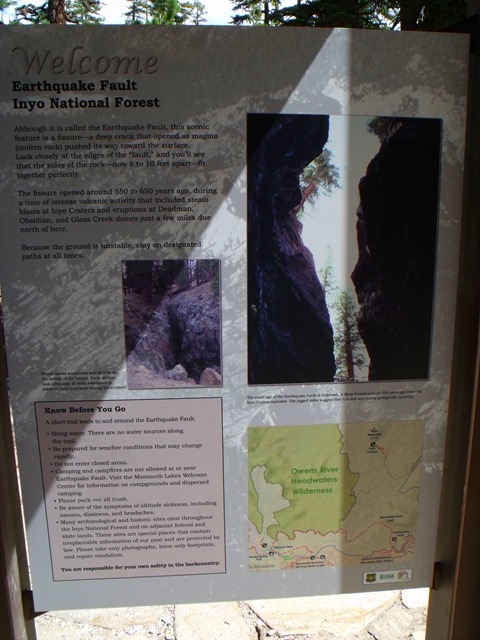 [mammoth%2520069%255B5%255D.jpg]