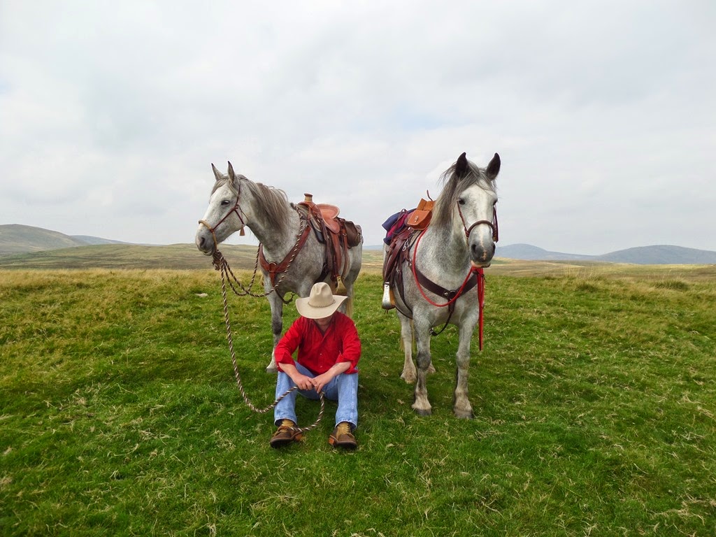 [cheviots%25202014%2520055%255B3%255D.jpg]