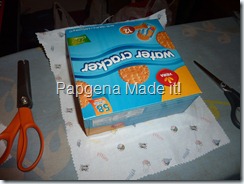 P1000336 P1000336