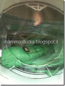 IMG_0971 IMG_0971