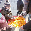 P1010013.JPG